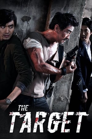 The Target (2014) Hindi Dual Audio [900MB] Movie Poster