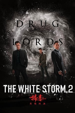 The White Storm 2: Drug Lords (2019) Hindi (Org) 300MB Movie Poster