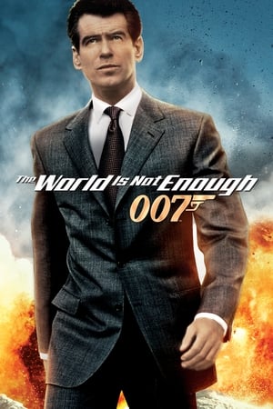 The World Is Not Enough (1999) Hindi Dual Audio 400MB Movie Poster