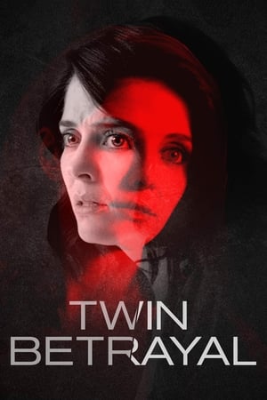 Twin Betrayal (2018) Hindi Dual Audio [640MB] Movie Poster