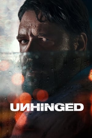 Unhinged (2020) Hindi (ORG)Dual Audio [900MB] Movie Poster